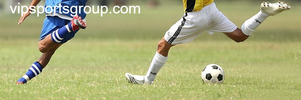 vipsportsgroup.com
